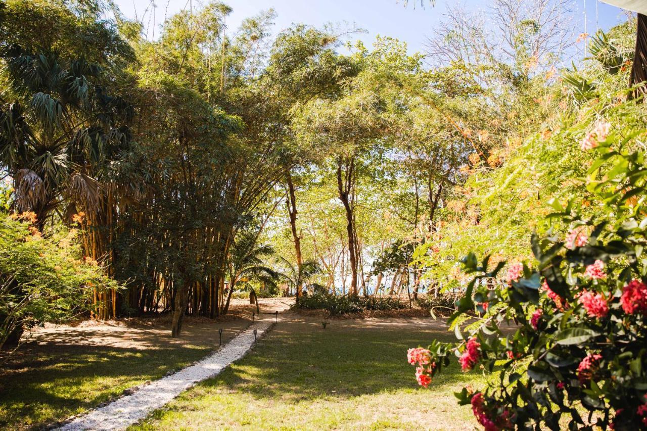 Villas Almendros Playa Santa Teresa  ภายนอก รูปภาพ