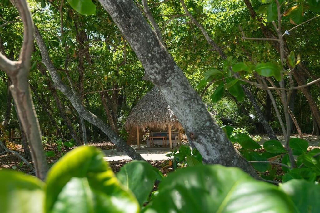 Villas Almendros Playa Santa Teresa  ภายนอก รูปภาพ