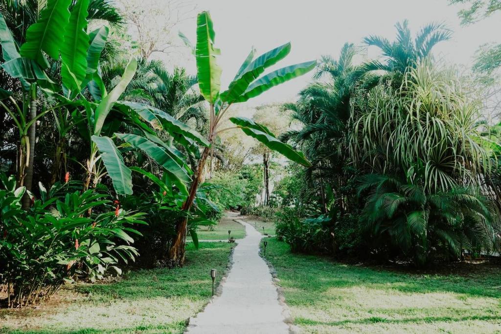 Villas Almendros Playa Santa Teresa  ภายนอก รูปภาพ